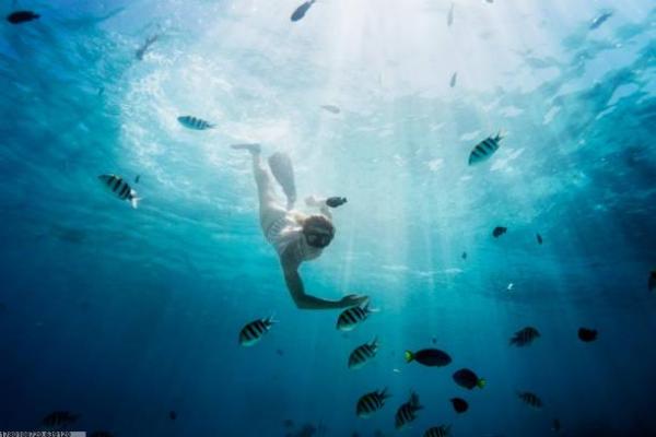 中考体育培训合同书范本编写要点(图1)